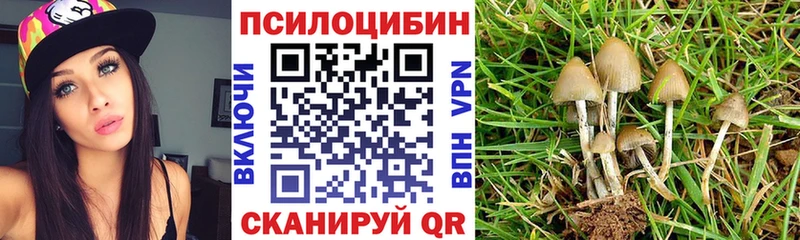 Купить где  Учалы  Псилоцибиновые грибы мицелий 